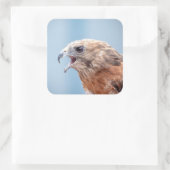 Red Shoulked Hawk Vierkante Sticker (Tas)