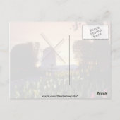 Red Silhouette van windmolen en tulpen, Washington Briefkaart (Achterkant)