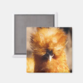 Red Silkie Chicken Hen Magneet (Voorkant / Achterkant)