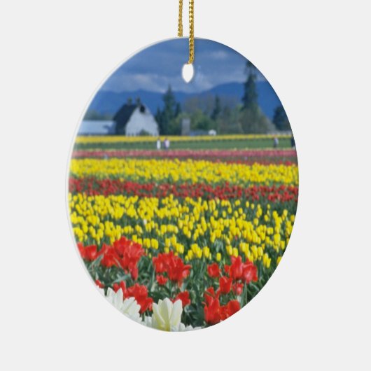 Red Skagit Valley, Mount Rainier, Washington, VS Keramisch Ornament (Rechts)