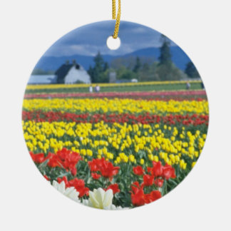 Red Skagit Valley, Mount Rainier, Washington, VS Keramisch Ornament