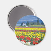 Red Skagit Valley, Mount Rainier, Washington, VS Magneet (Voorkant / Achterkant)