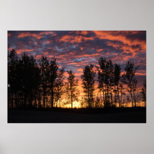 Red Sky op Night Poster