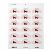 Red Smooth Dachshund et Étiquettes de adresse Rose (Feuille entière)