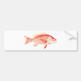 Red Snapper Bumpersticker