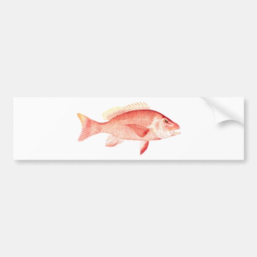 Red Snapper Bumpersticker (Voorkant)