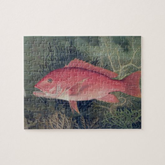 Red Snapper uit 'Game Fishes' van de Verenigde Sta Legpuzzel (Horizontaal)