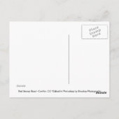 Red Snowy Road, Conifer, CO Briefkaart (Achterkant)