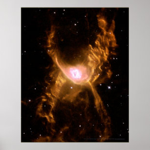 Red Spider Nebula 16 x 20 (16 x 20) Poster