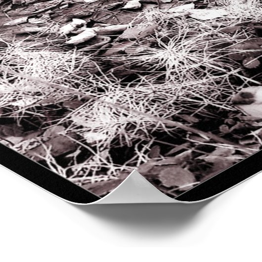 Red Splash Poster (Hoek)