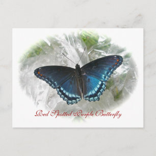 Red Spotted Paars Butterfly Series Briefkaart