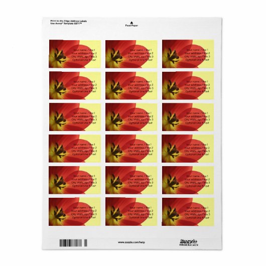 Red Spring Tulip | Aangepast adres Etiket (Full Sheet)