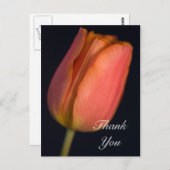 Red Spring Tulip Dank je Briefkaart (Voorkant / Achterkant)