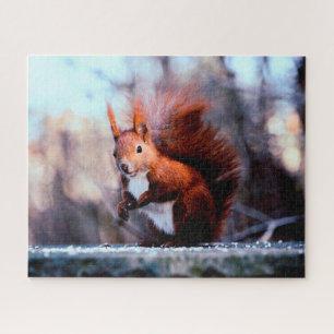 Red Squirrel Close up, Jigzaag Puzzle Legpuzzel