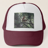Red Squirrel Trucker Hat Trucker Pet (Voorkant)