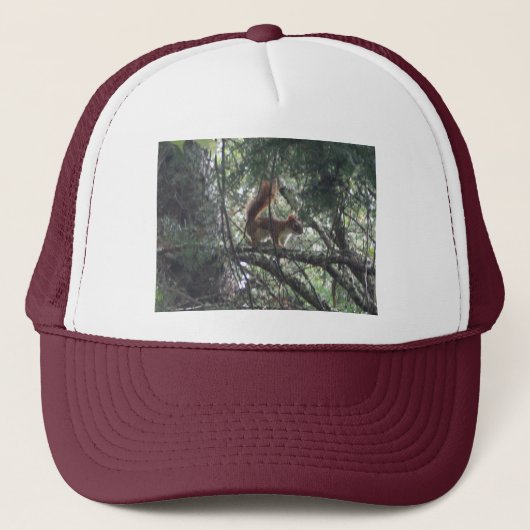 Red Squirrel Trucker Hat Trucker Pet (Voorkant)