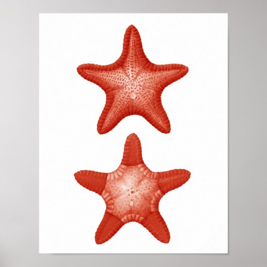 Red Starfish nr. 2 Nautical Wall Art Decor Print (Voorkant)