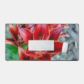 Red Stargazer Lily Flower, Photographie canadienne (Clavier et souris)