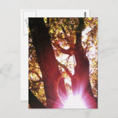 Red Sun Gprong Briefkaart (Voorkant / Achterkant)