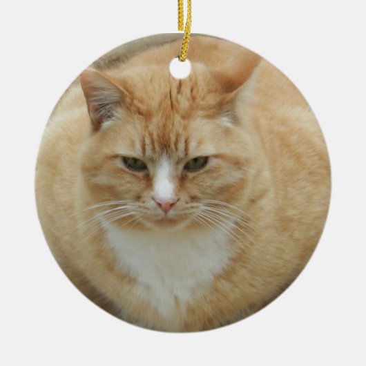 Red Tabby Keramisch Ornament (Voorkant)