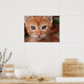 Red Tabby Kitten Poster (Keuken)