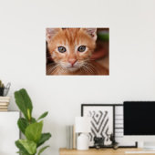 Red Tabby Kitten Poster (Thuiskantoor)