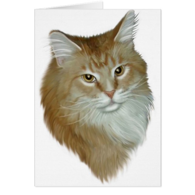 Red Tabby Maine Coon (Voorkant)