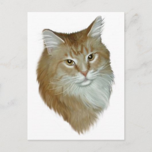 Red Tabby Maine Coon Briefkaart (Voorkant)