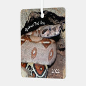 Red Tail Boa Constrictor Snake Metalen Ornament (Voorkant links)