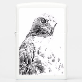 Red Tail Hawk 02