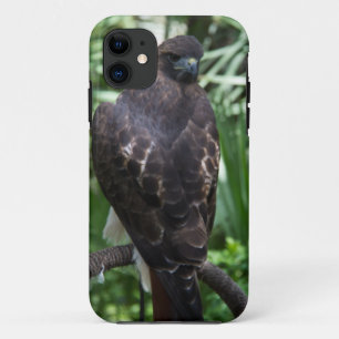 Red Tail Hawk Bird iPhone 11 Hoesje