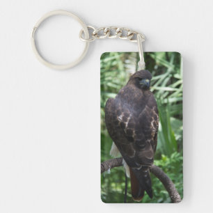 Red Tail Hawk Bird Sleutelhanger