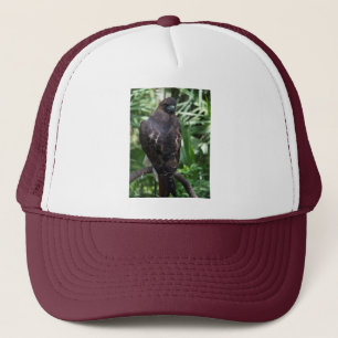 Red Tail Hawk Bird Trucker Pet