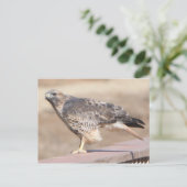 Red Tail Hawk Briefkaart (Staand voorkant)