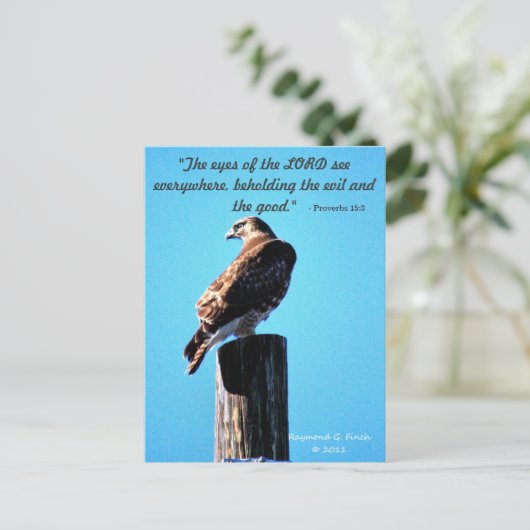 Red Tail Hawk - Carte postale - Proverbes 15:3 (Debout devant)