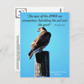 Red Tail Hawk - Carte postale - Proverbes 15:3 (Devant / Derrière)