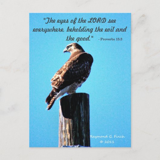 Red Tail Hawk - Carte postale - Proverbes 15:3 (Devant)