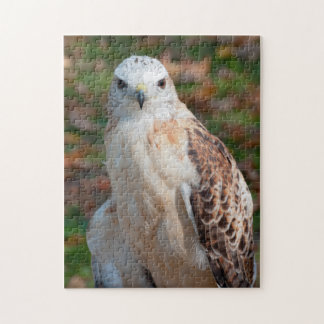 Red Tail Hawk Closeup Legpuzzel