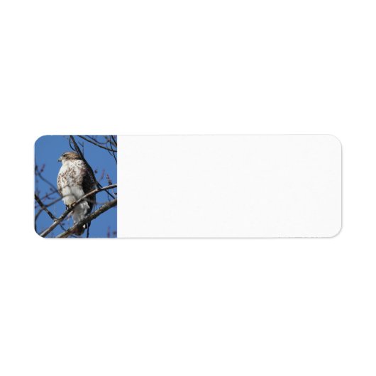 Red Tail Hawk Etiket (Voorkant)