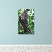 Red Tail Hawk Fotobehang Ingepakt Canvas (Insitu (Houten vloer))