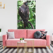 Red Tail Hawk Fotobehang Ingepakt Canvas (Insitu (Woonkamer))