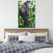 Red Tail Hawk Fotobehang Ingepakt Canvas Afdruk (Insitu (Slaapkamer))