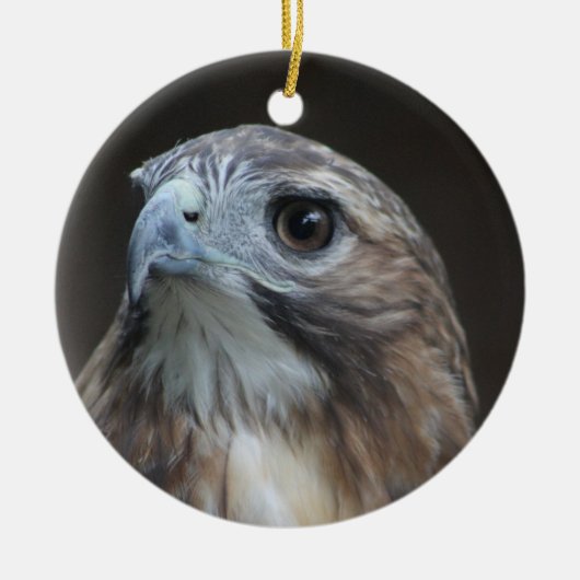 Red Tail Hawk-sierplant Keramisch Ornament (Voorkant)
