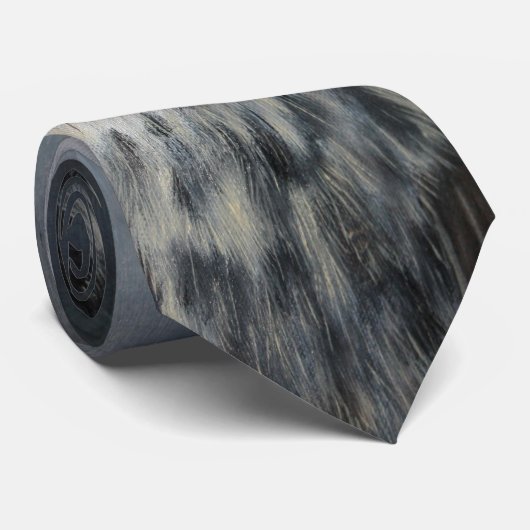 Red Tail Hawk Stropdas (Opgerold)