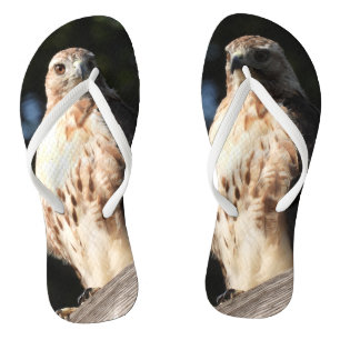 Red Tail Hawk Teenslippers
