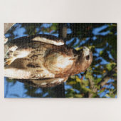 Red Tail Hawk, vogel van proy Legpuzzel (Horizontaal)
