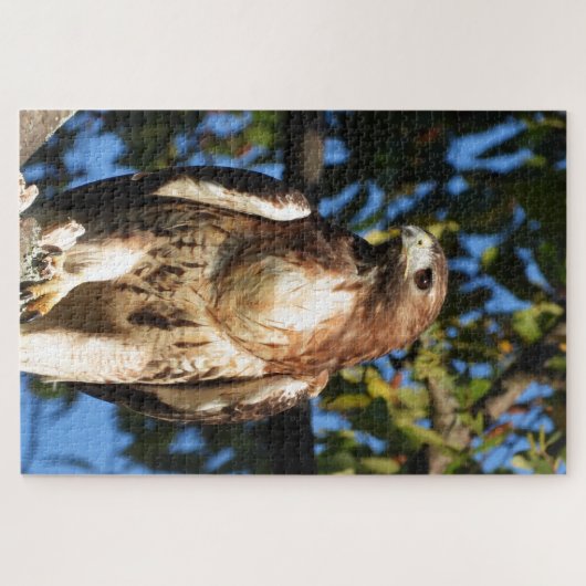 Red Tail Hawk, vogel van proy Legpuzzel (Horizontaal)