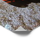 Red Tailed Black Cockatkato-Poster Poster (Hoek)