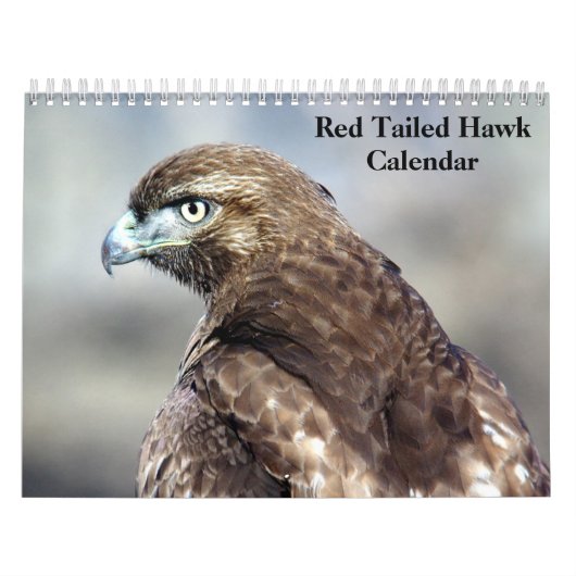Red Tailed Hawk 2025 Kalender (Hoes)