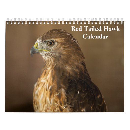 Red Tailed Hawk 2025 Kalender (Hoes)